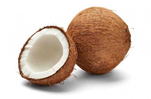 coconut