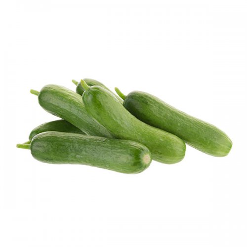 מלפפון בלאדי מלפפון בלאדי ירקות