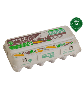 ביצי_חופש_Large12