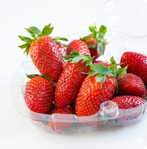 Screenshot_20260311_013316_Google