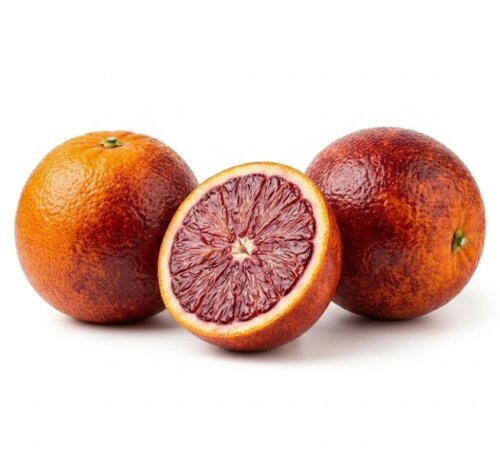 Screenshot_20260426_103755_Google